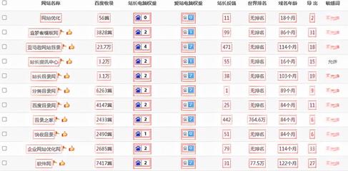 seo快速排名網站優化(企業網站快速優化排名)